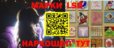 гашик Моздок