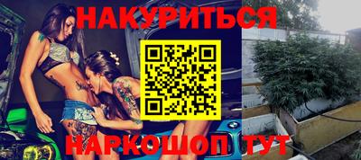 гашик Моздок