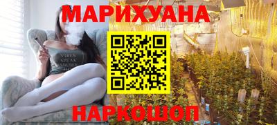 гашик Моздок