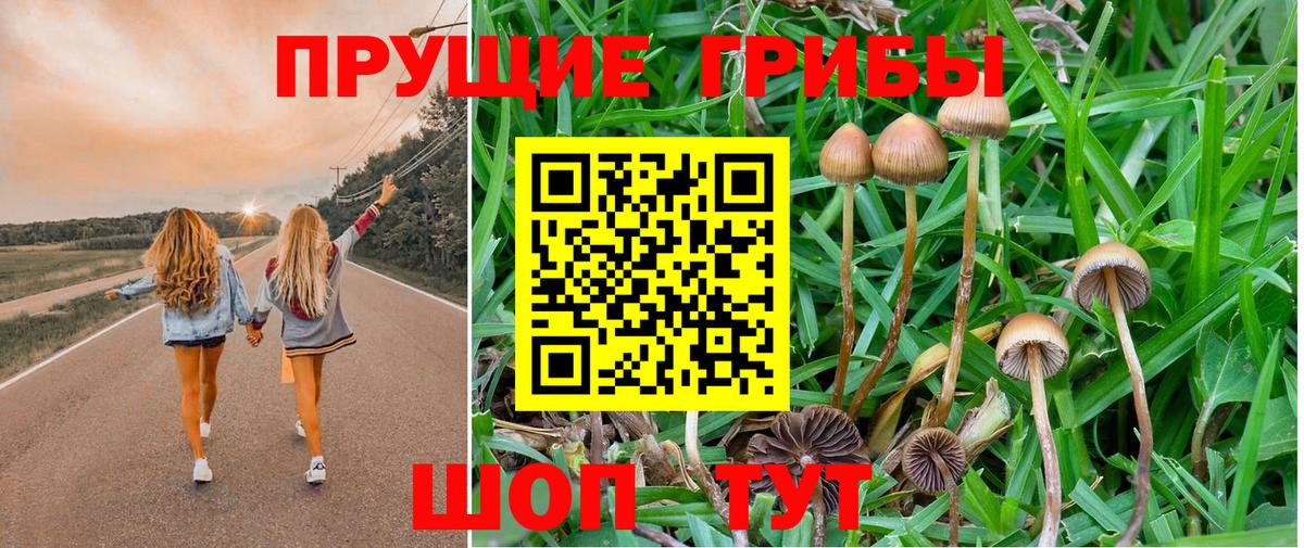 Галлюциногенные грибы Psilocybine cubensis  Вход с VPN  Электросталь 